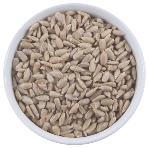 Słonecznik łuskany